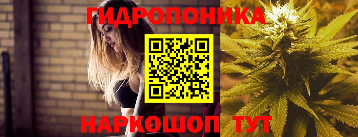 Бошки марихуана конопля  Вход с VPN  Заводоуковск  Шишки марихуана план  Каннабис White Widow 
